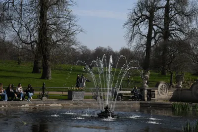 DSC_6878 (Large).JPG